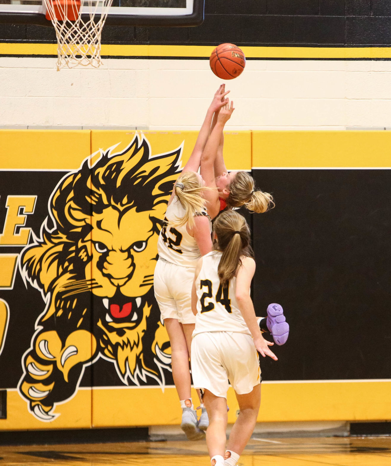 Clear Lake girls basket ball vs Algona 01-14-2020 (3).jpg